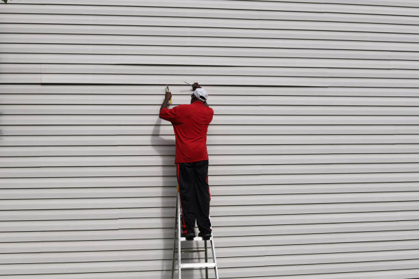 Trusted Coldwater, MI Siding Experts